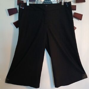 Liquid Blue Elegant Black Ankle Pants, size 8.